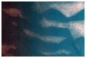 Teardrop Defrosting Features on Dunes