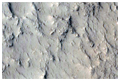 Crater with Channels and Fans and Sinuous Ridges Near Distal Marte Vallis
