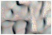 Polygons on Dunes