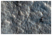 Northern Plains Sample