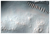 Gully Monitoring