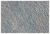 Northern Plains Sample