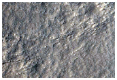 Gullied Crater