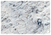 Flow Margin Near Tartarus Colles