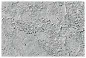 Cratered Cones in Cerberus Palus