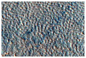 Contact on Northern Plains