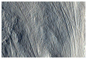 Gully Monitoring
