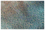High-Latitude Sample