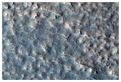 Surface of Lobate Aprons in Deuteronilus Mensae
