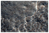 Northern Plains Sample