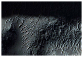 Gully Monitoring