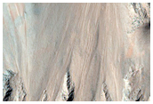 Ridges and Gullies along Coprates Chasma Massif