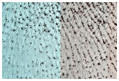 Persistent Summer Frost or Ice