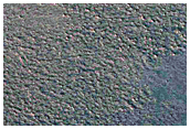 Chasma Boreale Gypsum Dunes