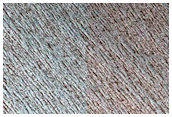 Sustained Bright Patches