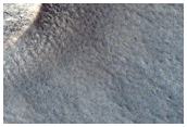 Persistent Northern Plains Ice Deposit Monitoring