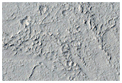 Flow Surfaces in Elysium Planitia