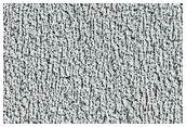 Polar Ice Cap Monitoring