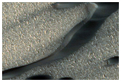 Olympia Undae Dunes