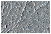 Platy-Ridged Flows in Tharsis Region