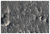 Krkta sar i Isidis Planitia