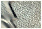 Furrows on Dunes