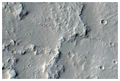 Olympus Mons Lava Flows