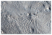 Erosion of Crater Deposits in Northern Arabia Terra