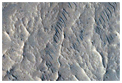 Crater Rim Gullies Filled with Small Dunes
