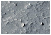 Sinuous Ridges and Impact Ejecta