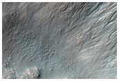 Gully Monitoring