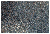 Persistent Frost or Ice