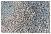 Isolated Surface Ice on Northern Plains