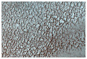 Polar Crater Dune Changes