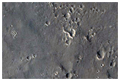 Ridges in Western Elysium Planitia