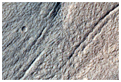 Volatiles and Gullies