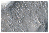 Bright Objects in Isidis Planitia Crater