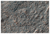 Cerca en el camp de restes del Mars 2