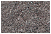 Southern Permafrost Survey