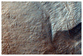 Possible Gullies in Crater Rim
