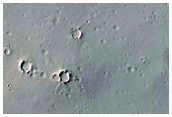 Secondary Crater Field