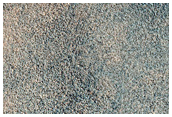 Sample Terrain