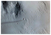 Crater Floor in Amazonis Planitia