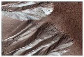 Gully Monitoring