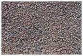 Southern Permafrost Survey