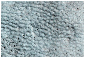 Seasonal Monitoring of New Craters