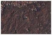 Thermally Distinct Patch