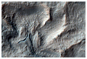 Crater Floor Features in Terra Sirenum