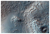 Features within Newton Crater