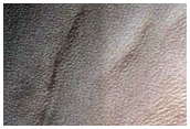 Gully Monitoring